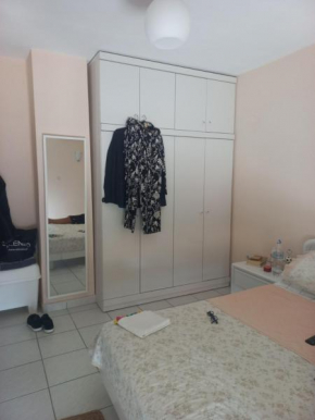 Totoni home